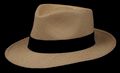 Cuenca Grade 2 Havana Panama Hat