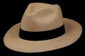 Cuenca Grade 2 Classic Fedora Panama Hat