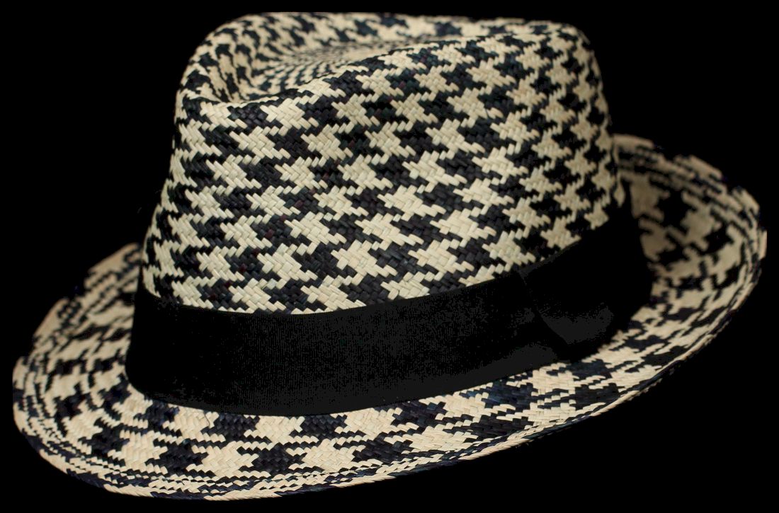 Cuenca Grade 4 Havana Panama Hat