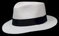 Cuenca Grade 6 Havana Panama Hat