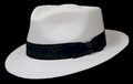 Montecristi Fino Havana Panama Hat