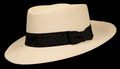 Montecristi Fino Havana Panama Hat